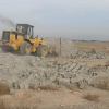 رفع تصرف بیست هزار متر مربع از اراضی ملی شهرستان چهارباغ 