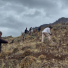 اجرای عملیات بذرپاشی در 30 هکتار از مراتع روستای میر طالقان