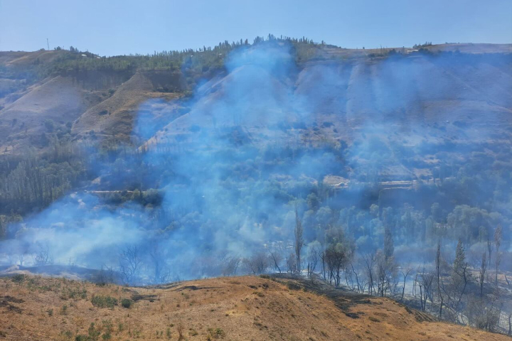 یک هکتار اراضی باغی طالقان در آتش سوخت