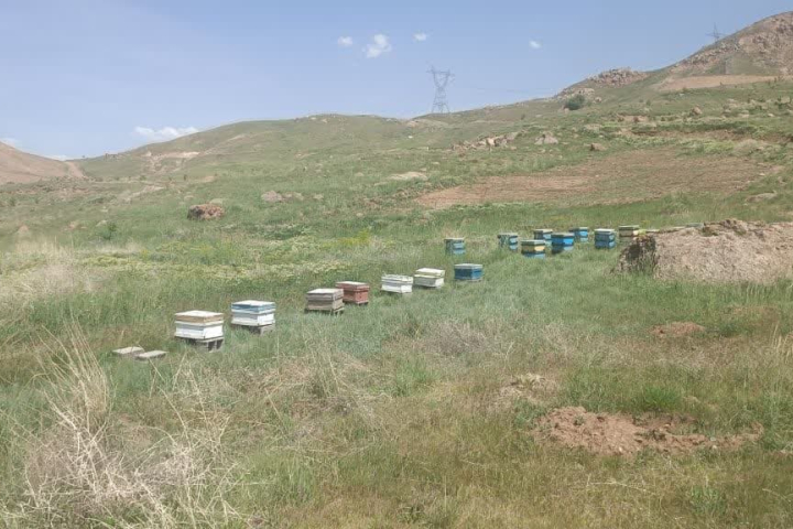 صدور اولین مجوز فعالیت گردشگری کشاورزی در طالقان