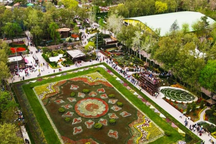 جشنواره گل‌های داوودی در کاخ مروارید برگزار شود